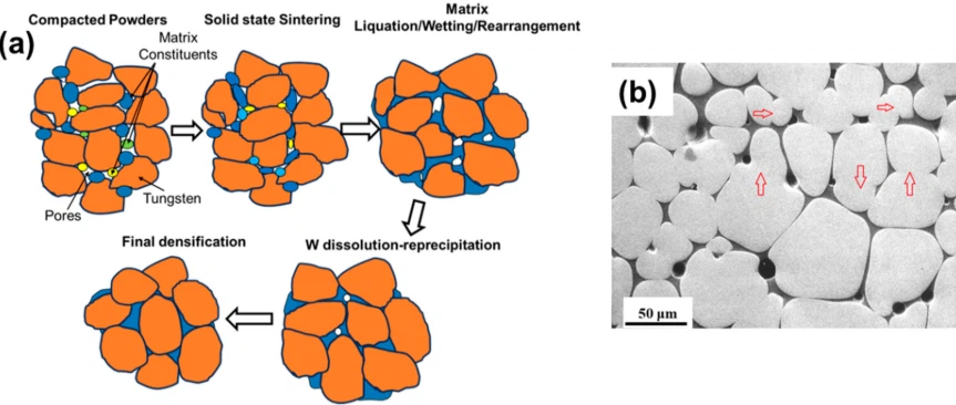 Tungsten Alloys Tungsten Alloys
